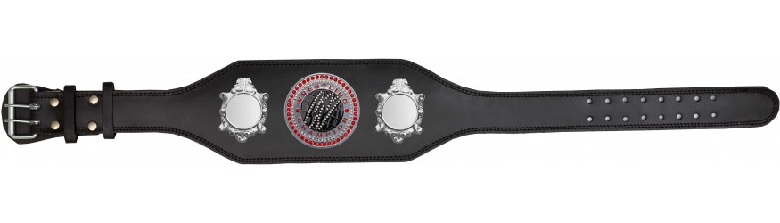 WRESTLING CHAMPIONSHIP BELT-BUD003/S/WRESTGEMS-4 COLOURS